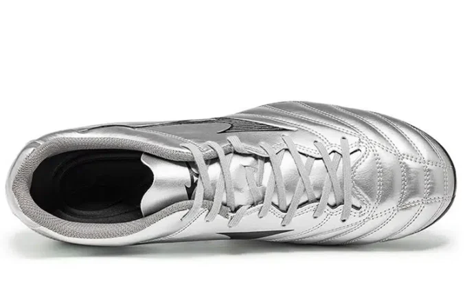 Monarcida Neo II Select AG “Silver Grey”