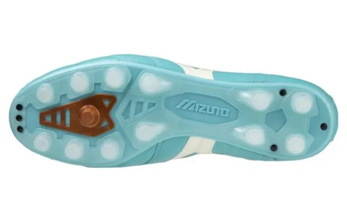 Morelia 2 Japan “Blue Curacao”