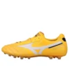 Morelia 2 Pro AG