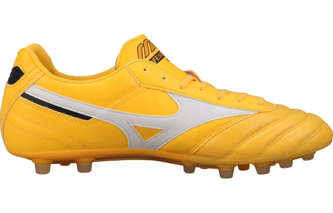 Morelia 2 Pro AG