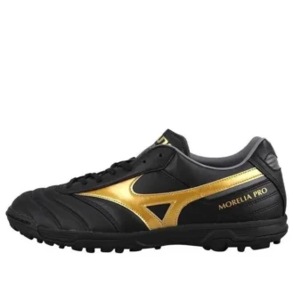 Morelia 2 Pro AS “Black Gold”