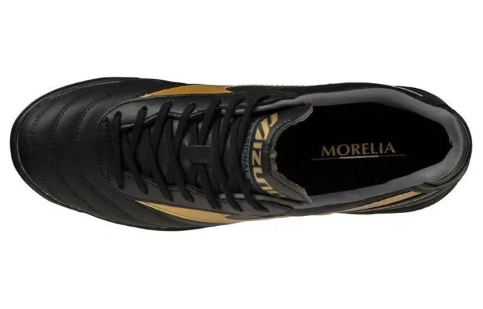 Morelia 2 Pro AS “Black Gold”