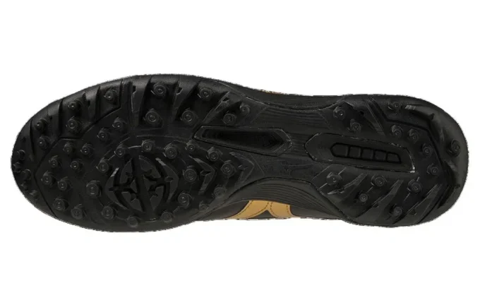 Morelia 2 Pro AS “Black Gold”