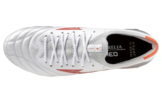 Morelia Neo IV Japan “White”