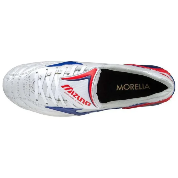 Morelia Wave Japan “Silver Blue”