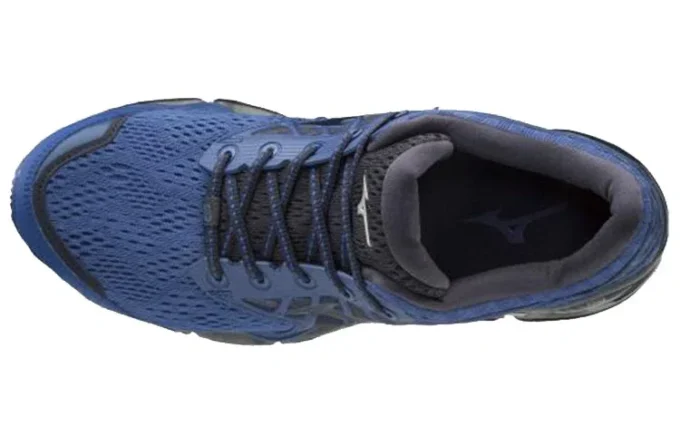 Prophecy 9 “Blue Black”