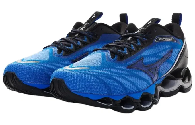 Wave Prophecy 11 “Blue Black”