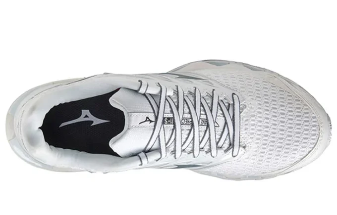 Wave Prophecy 11 “White Grey”