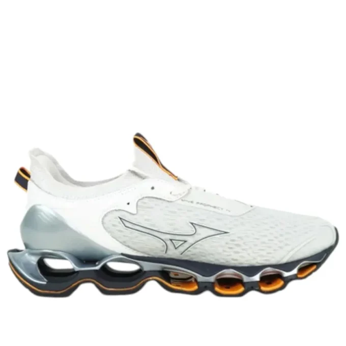 Wave Prophecy 14 “Grey White”