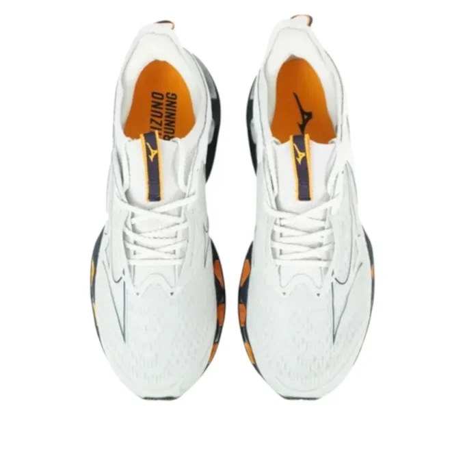 Wave Prophecy 14 “Grey White”