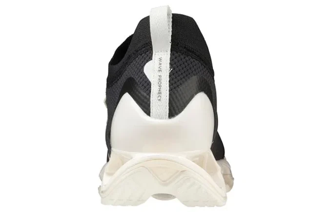 Wave Prophecy B “Black White”